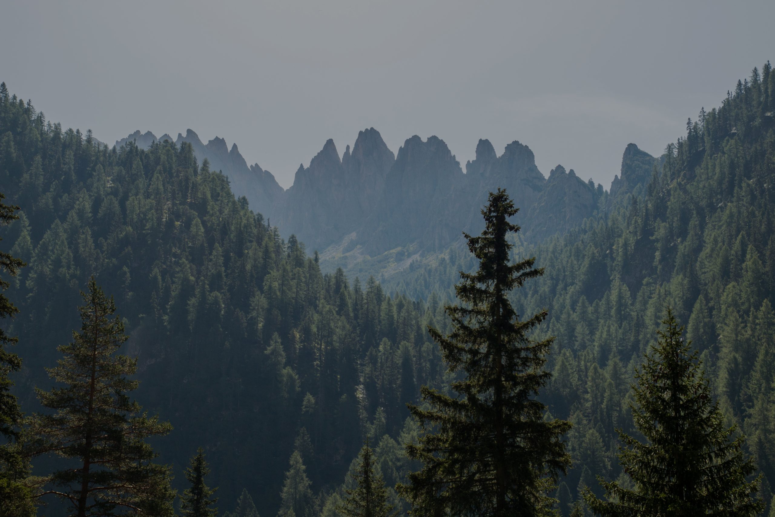 Vallunga, Selva di Val Gardena, Val Gardena, Bolzano, Trentino A